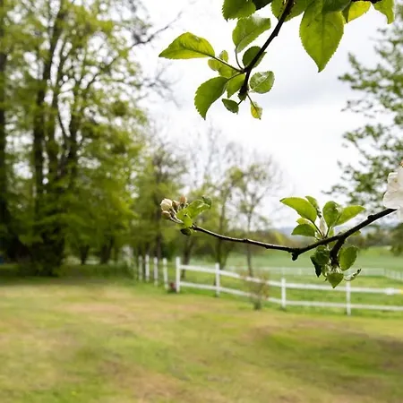 Obermuehle Apartment *